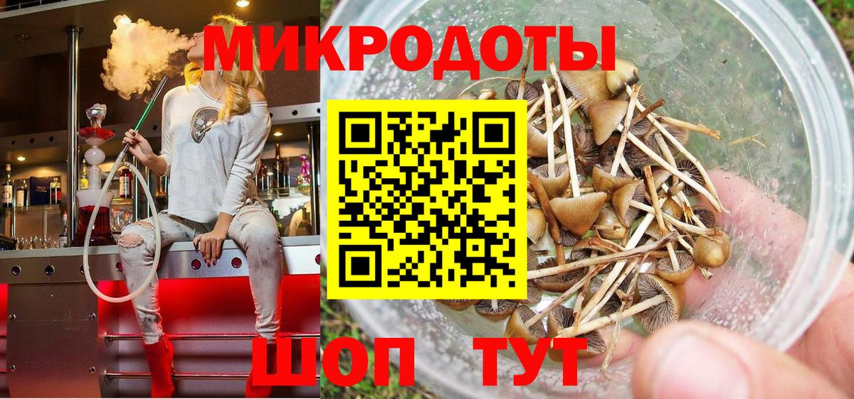 Кореновск  наркотики  Вход с VPN  Псилоцибиновые грибы MAGIC MUSHROOMS 